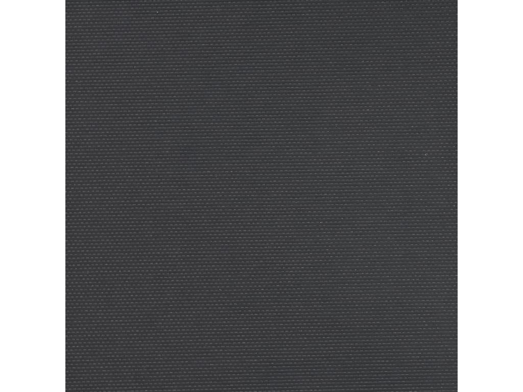 Auvent latéral rétractable noir 120x600 cm