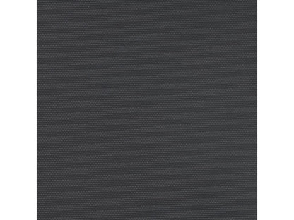 Auvent latéral rétractable noir 120x600 cm